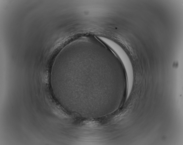 X0000090700689200707271109