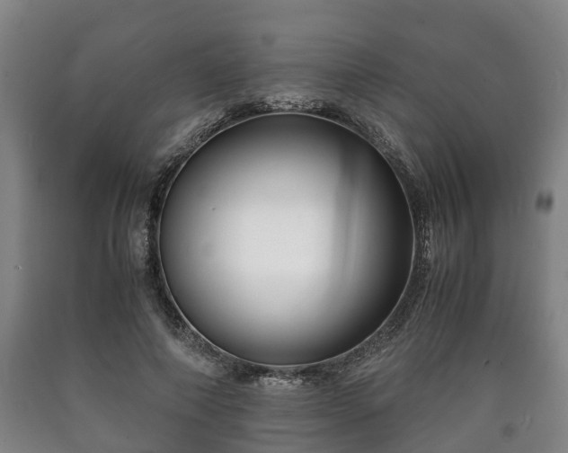 X0000090700690200707271109