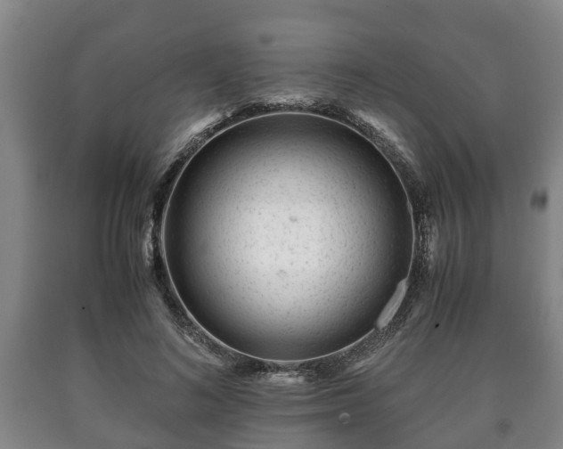 X0000090700692200707271109