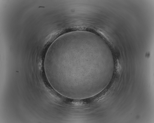 X0000090700693200707271109