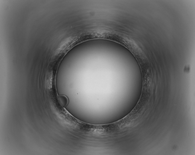 X0000090700694200707271109