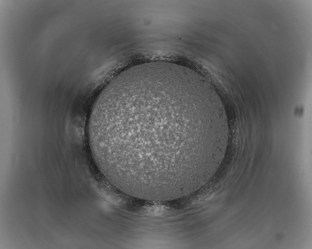 X0000090700695200707271109