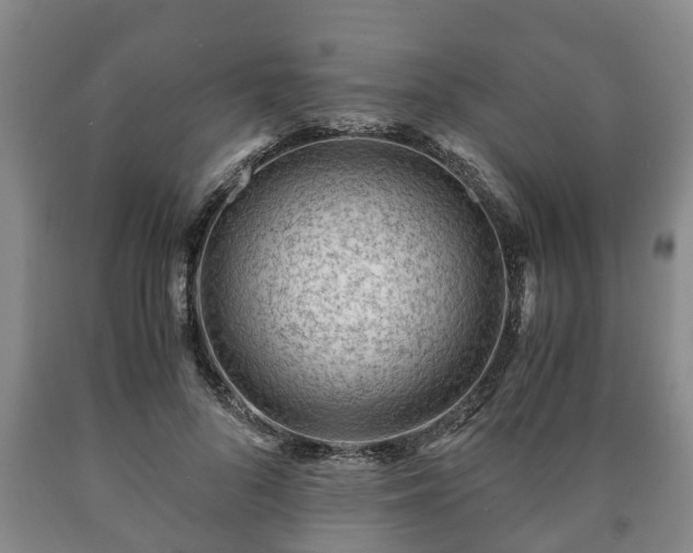 X0000090700696200707271109