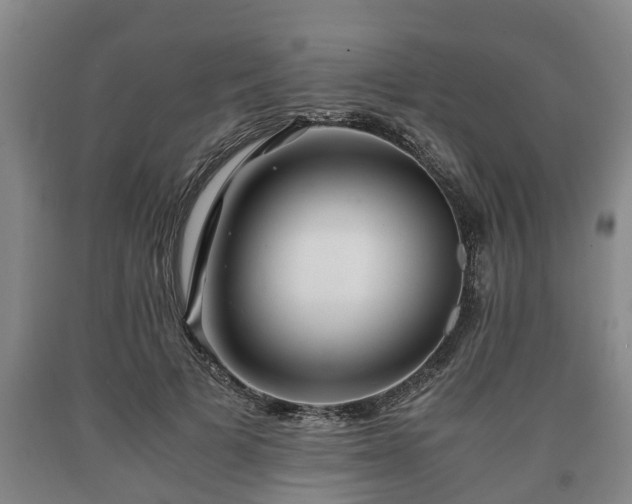 X0000090700697200707271109