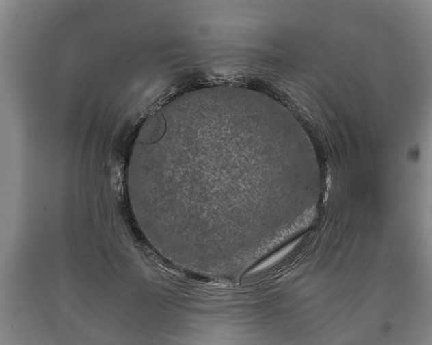 X0000090700699200707271109