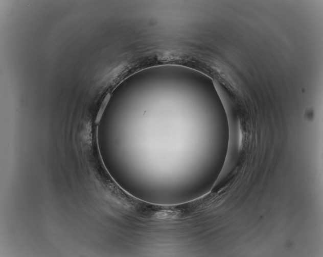 X0000090700700200707271109