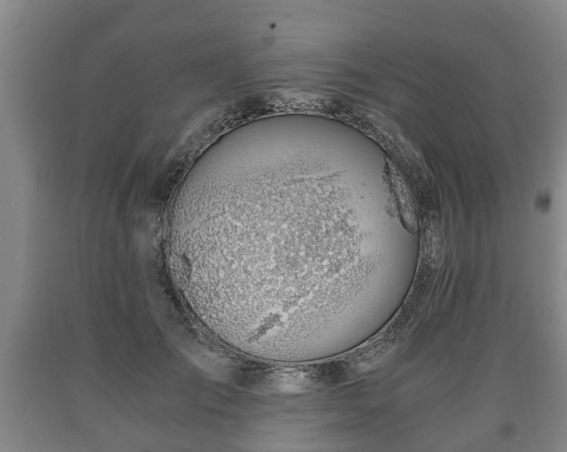 X0000090700701200707271109