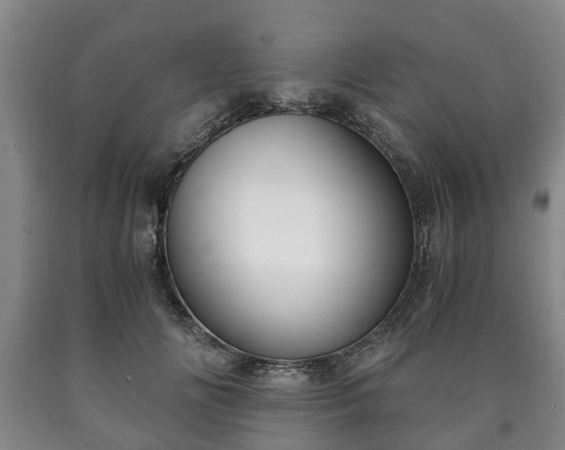 X0000090700702200707271109