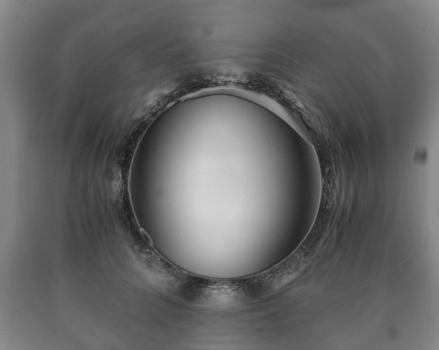 X0000090700704200707271109