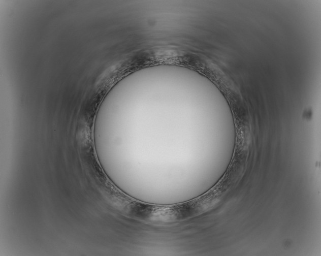 X0000090700705200707271109