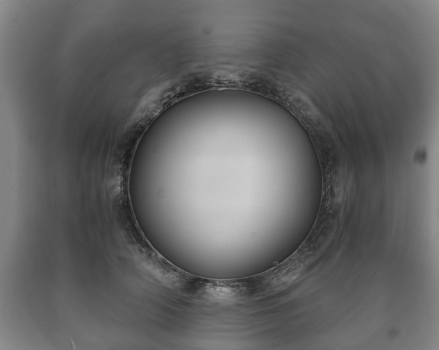 X0000090700706200707271109