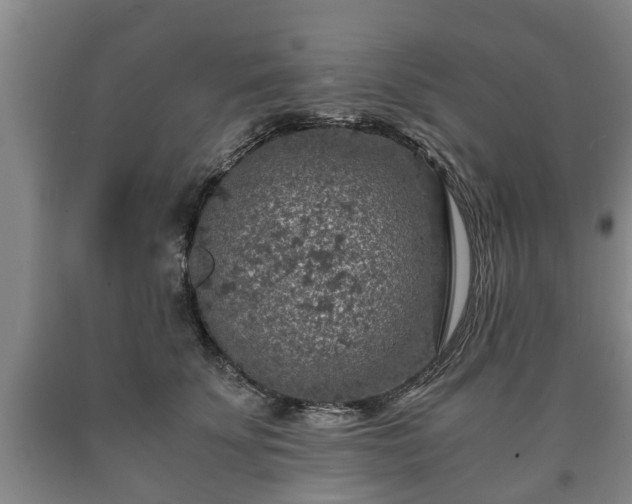 X0000090700707200707271109