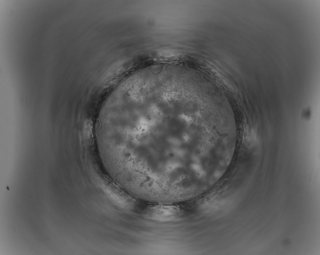 X0000090700711200707271109