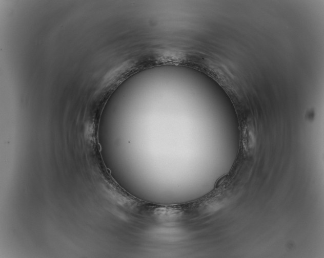 X0000090700714200707271109