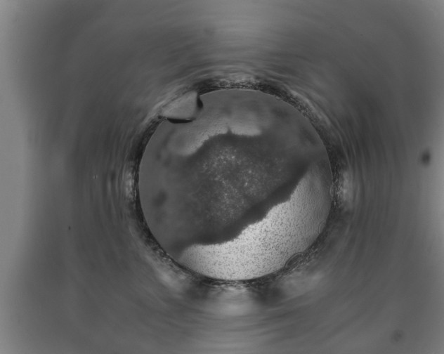 X0000090700715200707271109