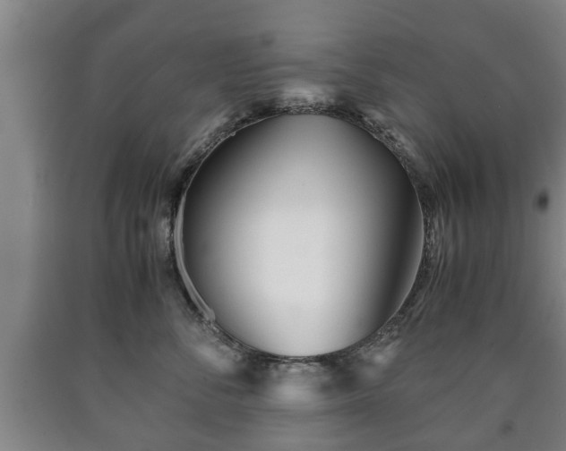 X0000090700716200707271109