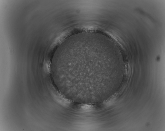 X0000090700718200707271109