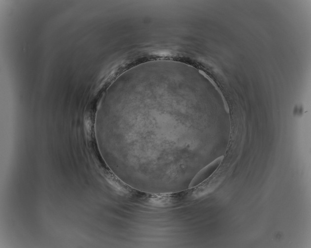 X0000090700720200707271109