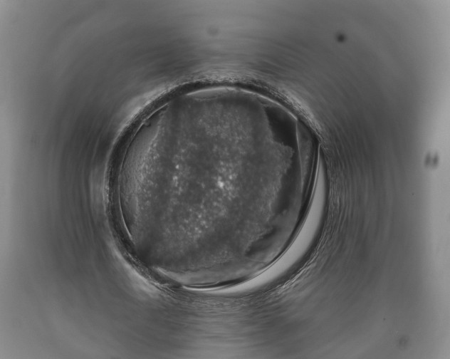 X0000090700722200707271108