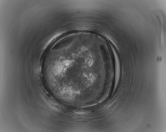 X0000090700723200707271108