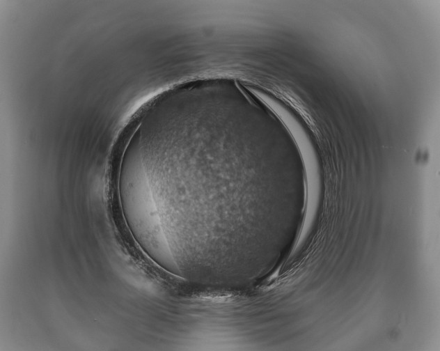 X0000090700724200707271108