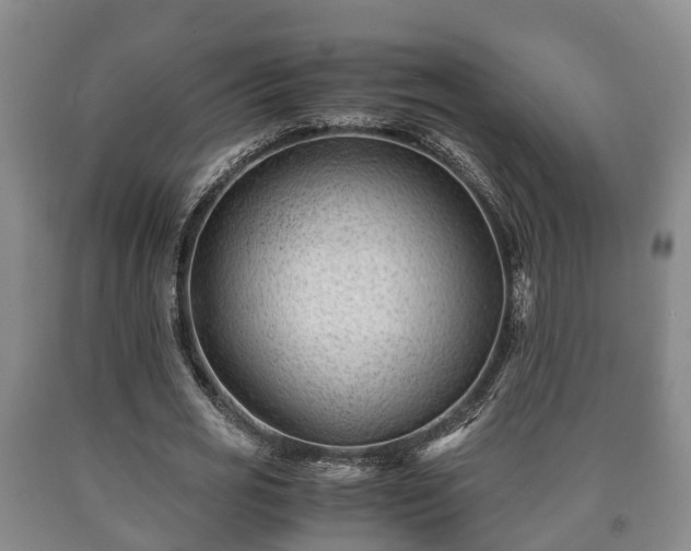 X0000090700725200707271108