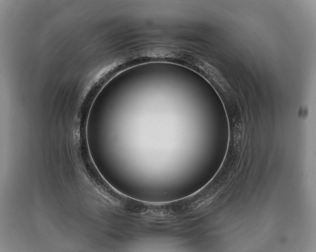 X0000090700727200707271108