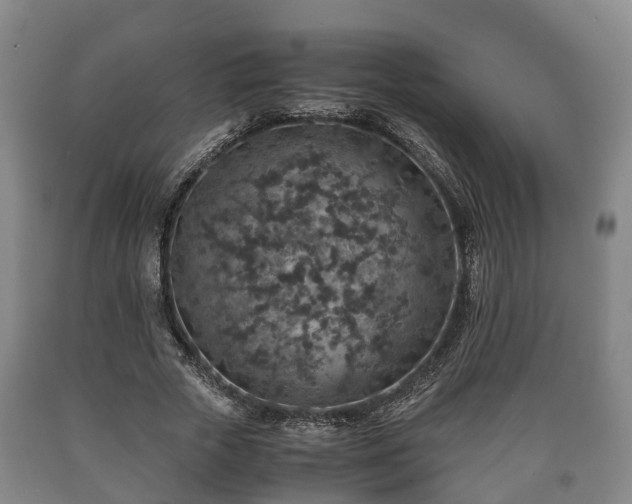 X0000090700729200707271108