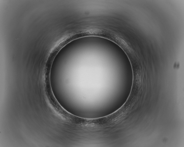 X0000090700730200707271108