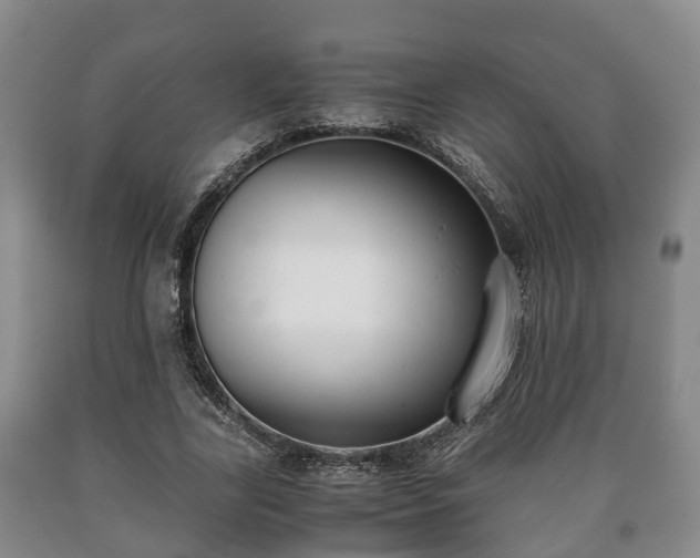 X0000090700731200707271108