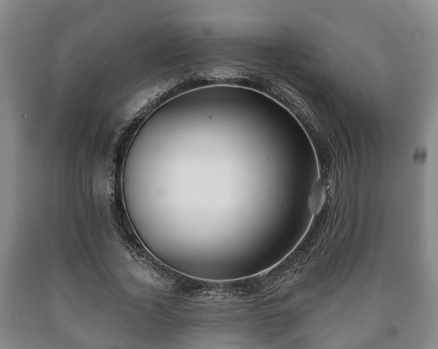 X0000090700732200707271108