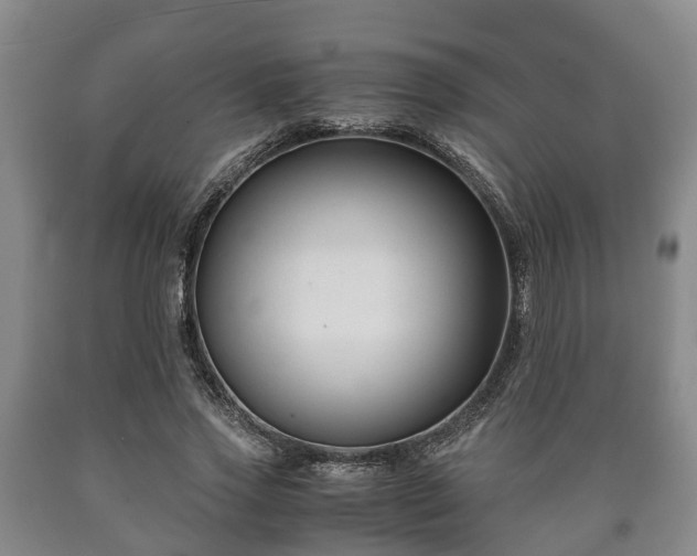 X0000090700733200707271108