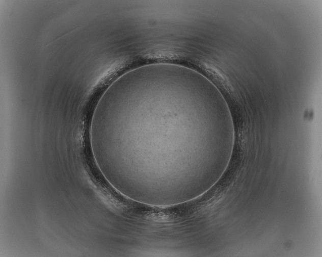 X0000090700735200707271108