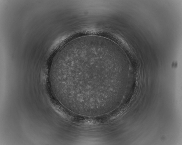 X0000090700736200707271108