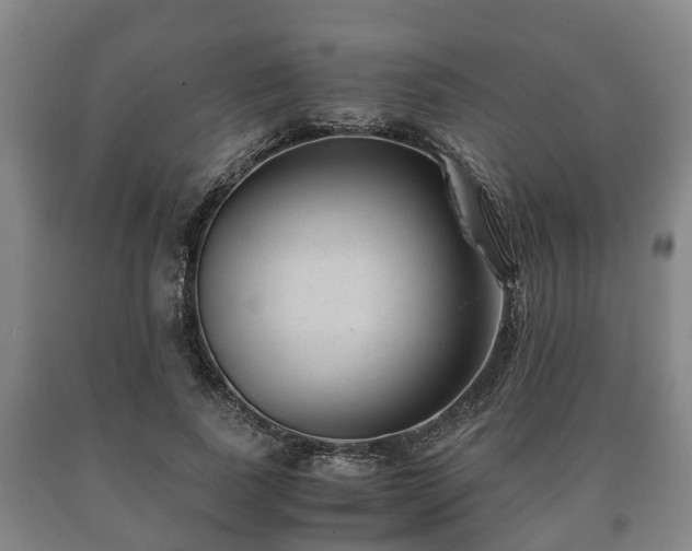 X0000090700739200707271108