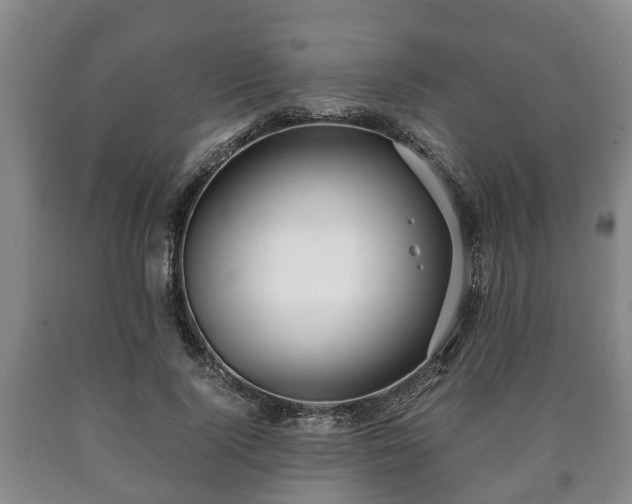 X0000090700740200707271108