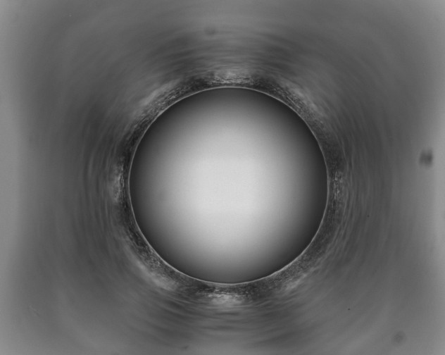 X0000090700741200707271108