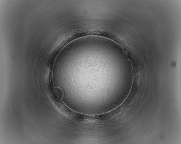 X0000090700742200707271108