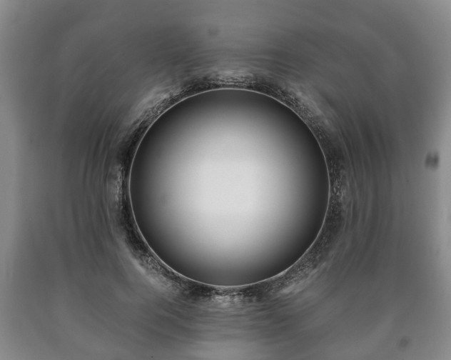 X0000090700744200707271108