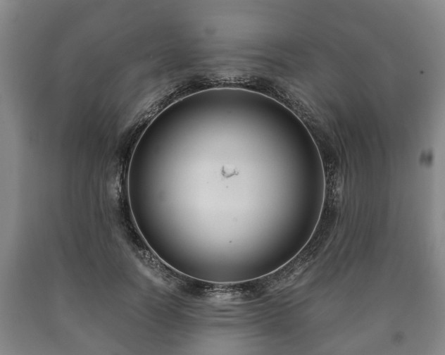 X0000090700746200707271108