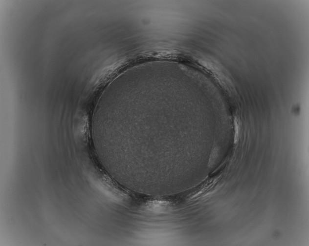 X0000090700748200707271108