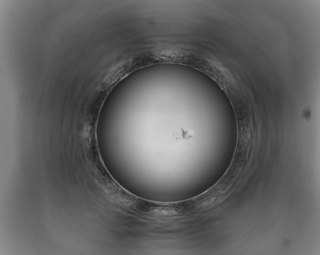 X0000090700749200707271108