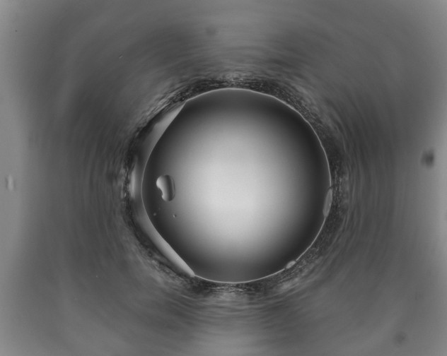 X0000090700750200707271108