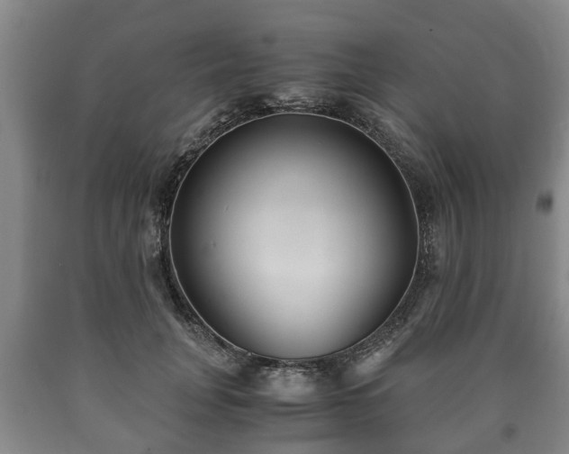 X0000090700751200707271108