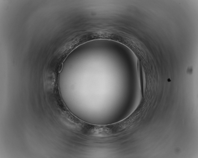 X0000090700752200707271108