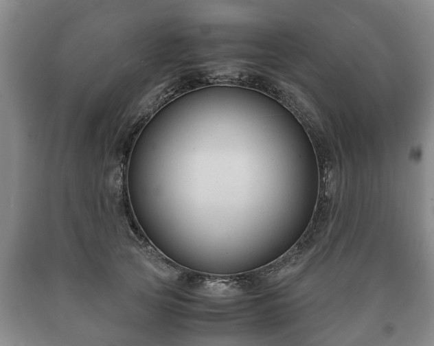 X0000090700753200707271108