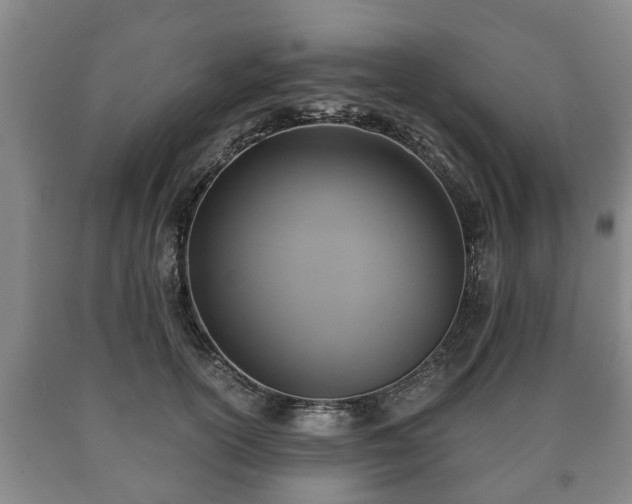 X0000090700754200707271108