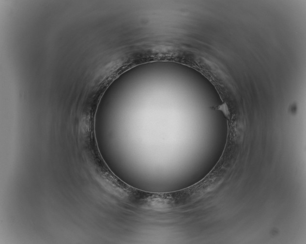 X0000090700756200707271108