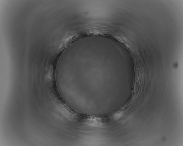 X0000090700760200707271108