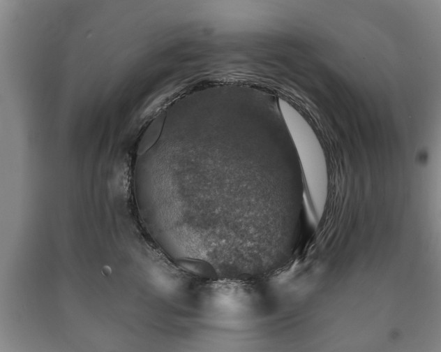 X0000090700762200707271108